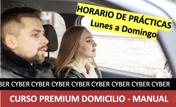 CURSO PREMIUM DOMICILIO FIN DE SEMANA - MANUAL